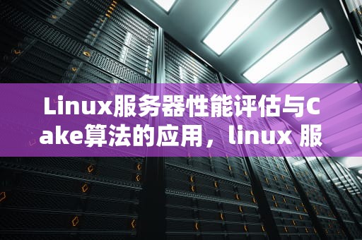 Linux服务器性能评估与Cake算法的应用，linux 服务器性能