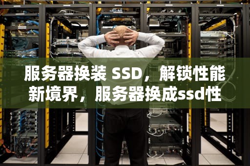 服务器换装 SSD，解锁性能新境界，服务器换成ssd性能怎么样