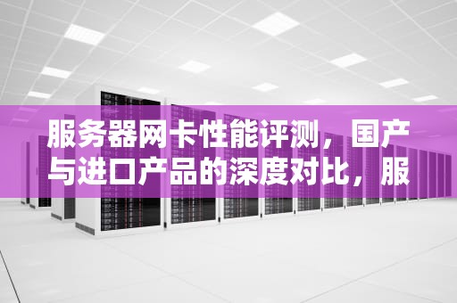 服务器网卡性能评测，国产与进口产品的深度对比，服务器网卡性能评测