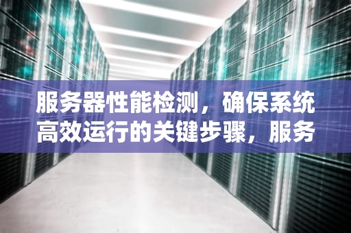 服务器性能检测，确保系统高效运行的关键步骤，服务器性能检测描述怎么写