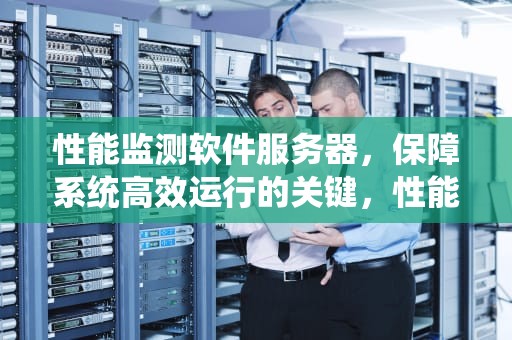 性能监测软件服务器，保障系统高效运行的关键，性能监测软件服务器有哪些