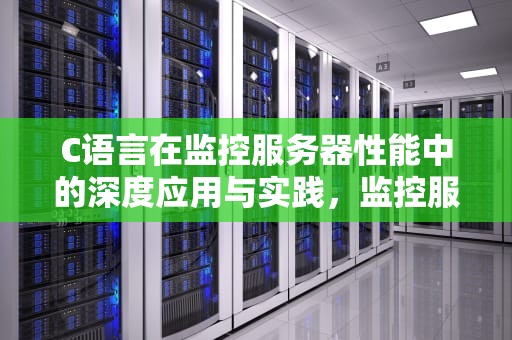 C语言在监控服务器性能中的深度应用与实践，监控服务器参数