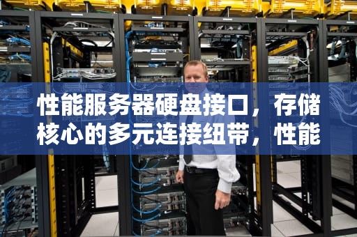 性能服务器硬盘接口，存储核心的多元连接纽带，性能服务器硬盘接口类型