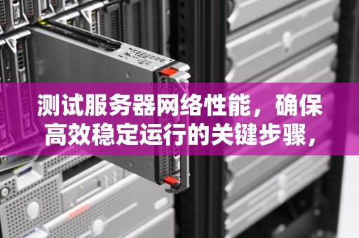 测试服务器网络性能，确保高效稳定运行的关键步骤，测试服务器网络性能的软件