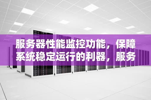 服务器性能监控功能，保障系统稳定运行的利器，服务器性能监控功能有哪些
