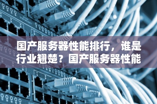 国产服务器性能排行，谁是行业翘楚？国产服务器性能排行榜