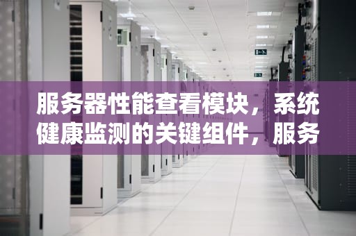 服务器性能查看模块，系统健康监测的关键组件，服务器性能查看模块在哪