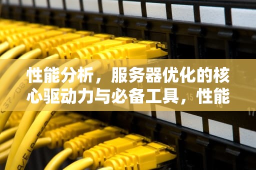 性能分析，服务器优化的核心驱动力与必备工具，性能分析 服务器 工具有哪些