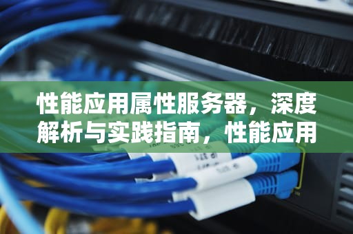 性能应用属性服务器，深度解析与实践指南，性能应用属性服务器怎么设置