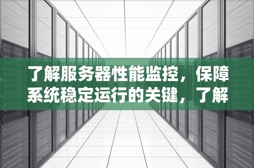 了解服务器性能监控，保障系统稳定运行的关键，了解服务器性能监控的软件