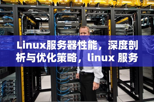 Linux服务器性能，深度剖析与优化策略，linux 服务器性能