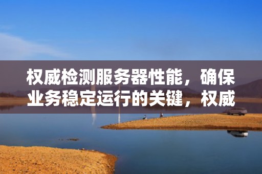 权威检测服务器性能，确保业务稳定运行的关键，权威检测服务器性能的软件