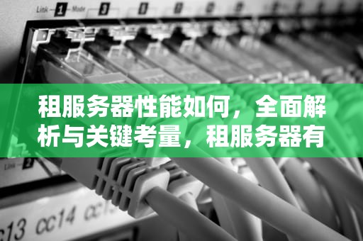 租服务器性能如何，全面解析与关键考量，租服务器有啥用