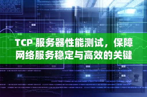 TCP 服务器性能测试，保障网络服务稳定与高效的关键，tcp服务器压测工具