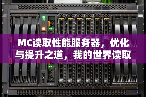 MC读取性能服务器，优化与提升之道，我的世界读取有什么用