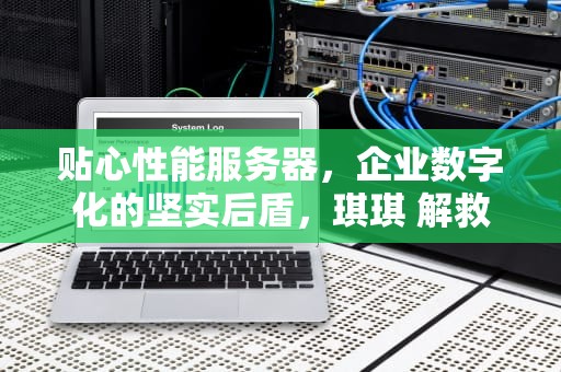 贴心性能服务器，企业数字化的坚实后盾，琪琪 解救