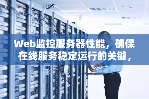Web监控服务器性能，确保在线服务稳定运行的关键，web监控服务器性能怎么样