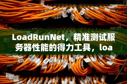 LoadRunNet，精准测试服务器性能的得力工具，loadrunner测试服务器性能
