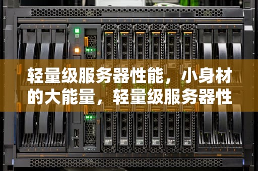 轻量级服务器性能，小身材的大能量，轻量级服务器性能怎么样