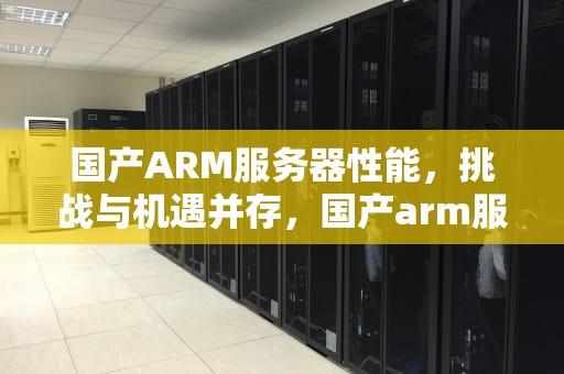 国产ARM服务器性能，挑战与机遇并存，国产arm服务器性能怎么样