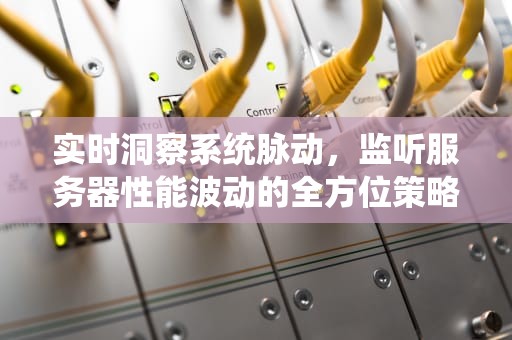 实时洞察系统脉动，监听服务器性能波动的全方位策略，监听服务器性能波动原因