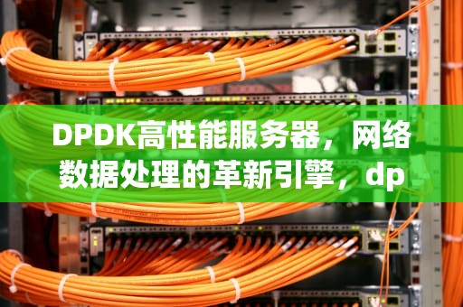 DPDK高性能服务器，网络数据处理的革新引擎，dpdk 性能
