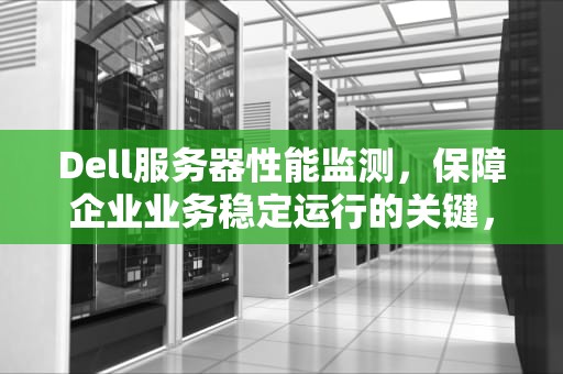 Dell服务器性能监测，保障企业业务稳定运行的关键，戴尔服务器硬件测试