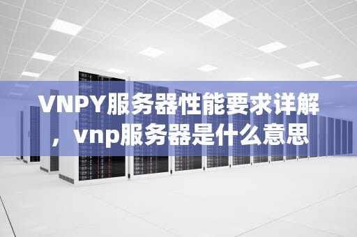 VNPY服务器性能要求详解，vnp服务器是什么意思