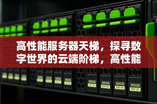 高性能服务器天梯，探寻数字世界的云端阶梯，高性能服务器天梯排名