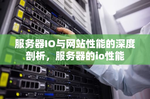 服务器IO与网站性能的深度剖析，服务器的io性能