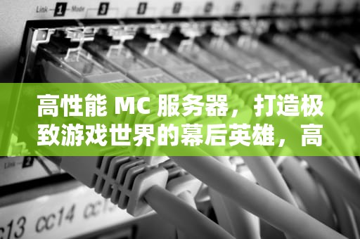 高性能 MC 服务器，打造极致游戏世界的幕后英雄，高性能mc服务器推荐
