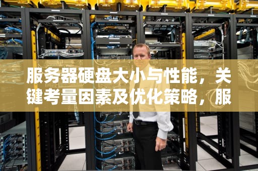 服务器硬盘大小与性能，关键考量因素及优化策略，服务器硬盘大小性能怎么看