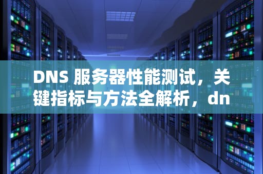 DNS 服务器性能测试，关键指标与方法全解析，dns性能测试工具