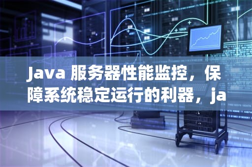 Java 服务器性能监控，保障系统稳定运行的利器，java服务器性能监控工具