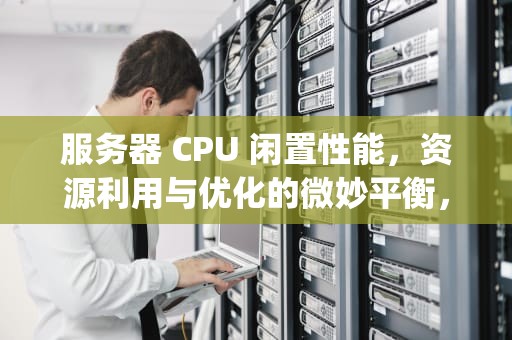 服务器 CPU 闲置性能，资源利用与优化的微妙平衡，服务器cpu闲置性能怎么看