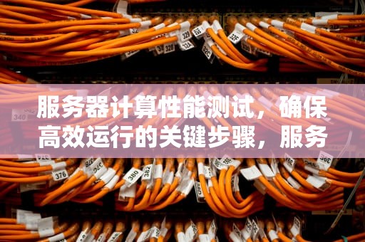 服务器计算性能测试，确保高效运行的关键步骤，服务器计算性能测试方法