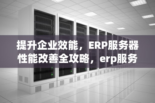 提升企业效能，ERP服务器性能改善全攻略，erp服务器性能改善方案