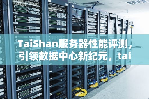 TaiShan服务器性能评测，引领数据中心新纪元，taishan服务器的优点