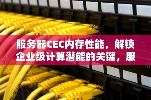 服务器CEC内存性能，解锁企业级计算潜能的关键，服务器内存性能怎么样