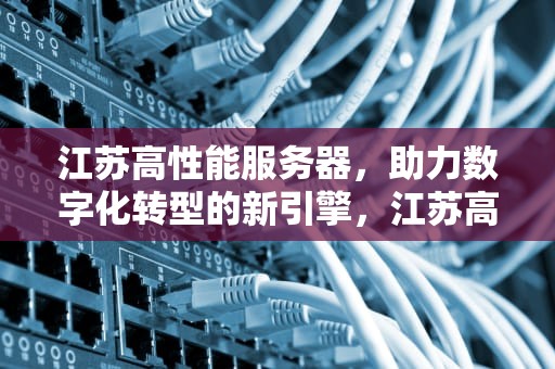江苏高性能服务器，助力数字化转型的新引擎，江苏高性能服务器厂家