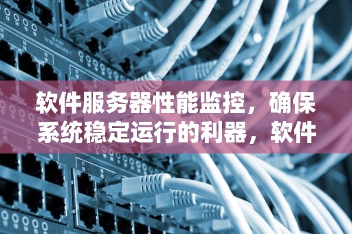 软件服务器性能监控，确保系统稳定运行的利器，软件服务器性能监控系统