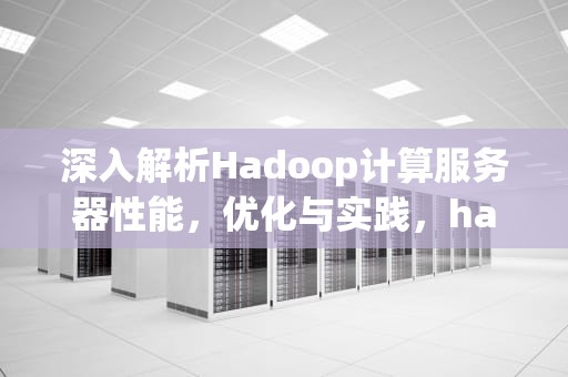 深入解析Hadoop计算服务器性能，优化与实践，hadoop服务器硬件配置