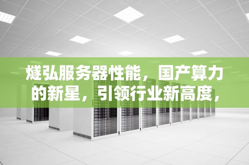 燧弘服务器性能，国产算力的新星，引领行业新高度，燧弘服务器性能怎么样