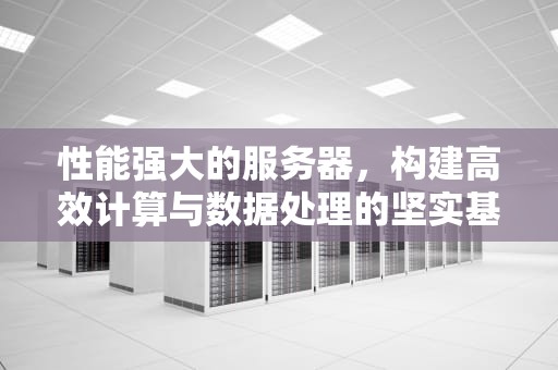 性能强大的服务器，构建高效计算与数据处理的坚实基石，性能强大的服务器有哪些