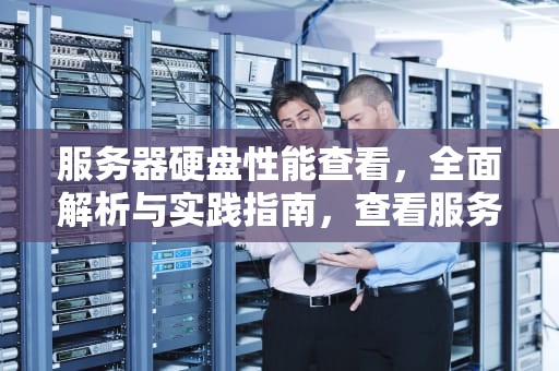 服务器硬盘性能查看，全面解析与实践指南，查看服务器硬盘型号