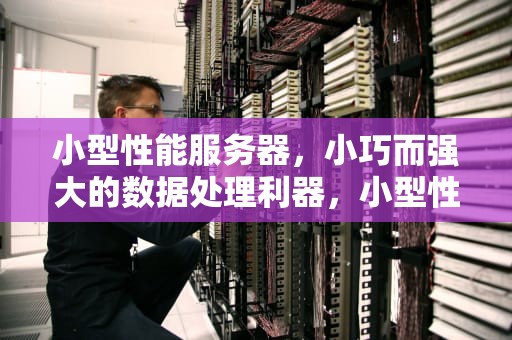 小型性能服务器，小巧而强大的数据处理利器，小型性能服务器介绍图