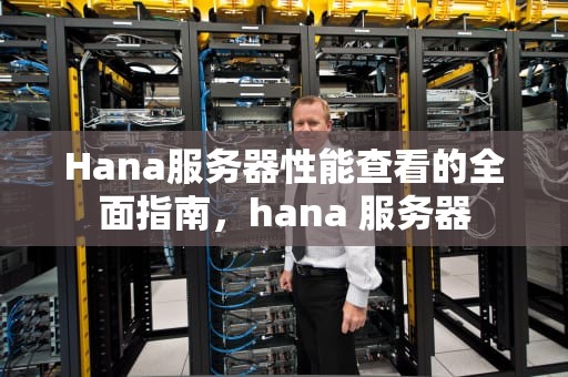 Hana服务器性能查看的全面指南，hana 服务器