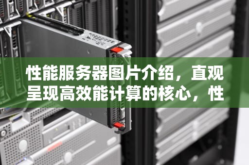 性能服务器图片介绍，直观呈现高效能计算的核心，性能服务器图片介绍大全