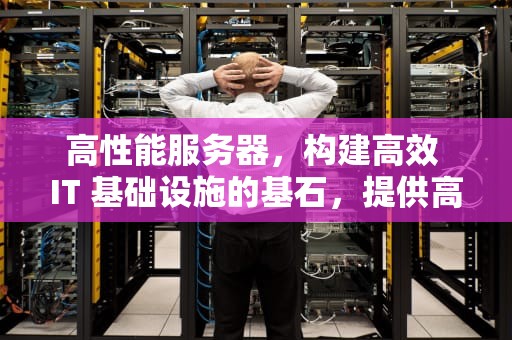 高性能服务器，构建高效 IT 基础设施的基石，提供高性能服务器的公司