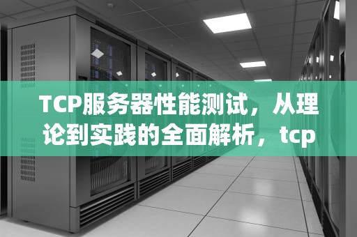 TCP服务器性能测试，从理论到实践的全面解析，tcp服务器压测工具